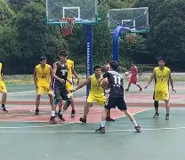 分手后前任无缝衔接 分手后前任无缝衔接