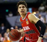 nba黄蜂队波尔