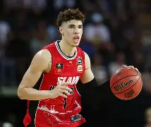 nba黄蜂队波尔